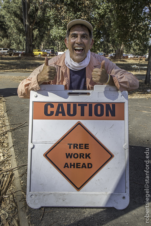 tree work ahead